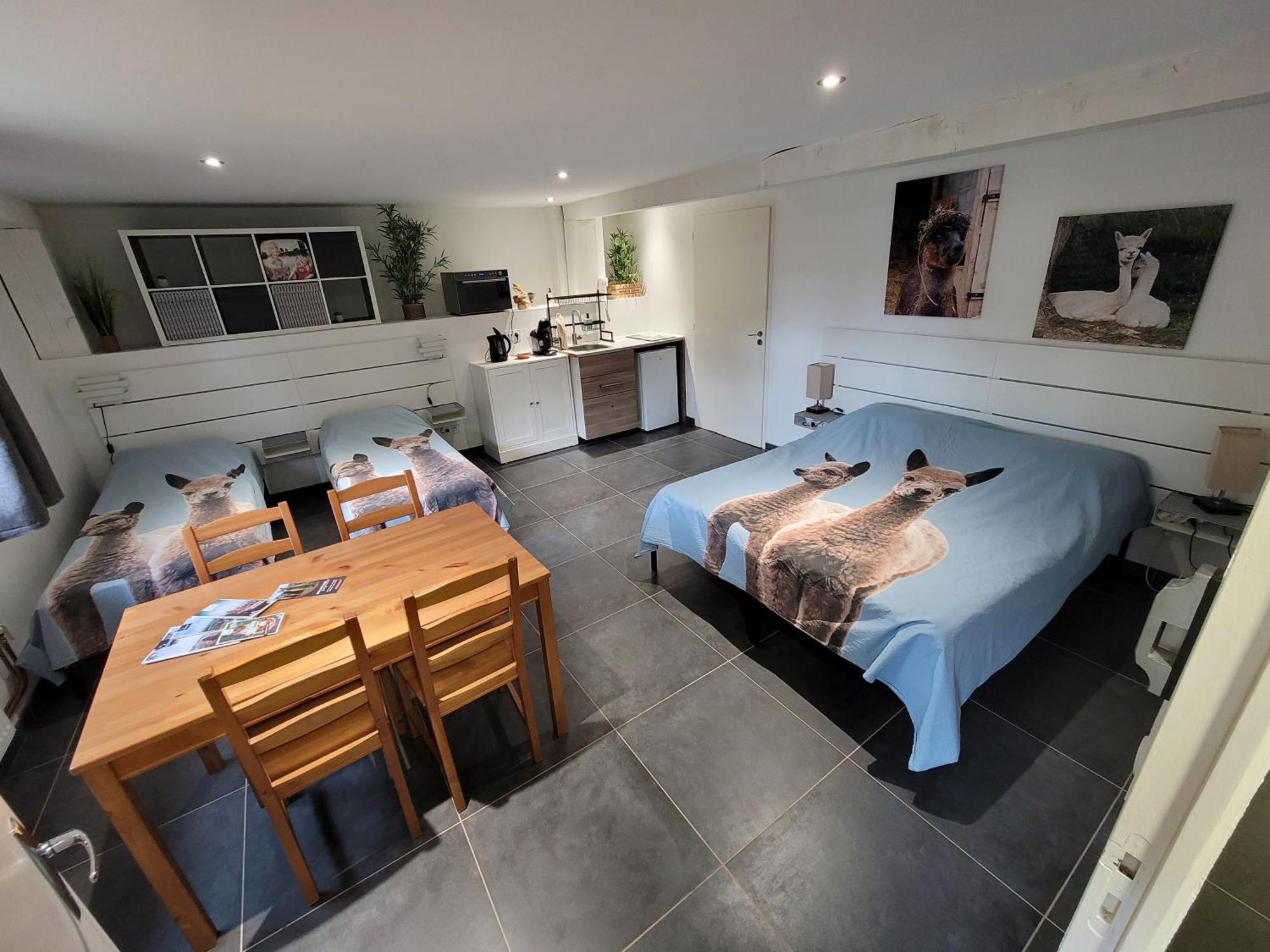 Alpagas Du Domaine Mael Bed and Breakfast Saint-Antoine  Εξωτερικό φωτογραφία